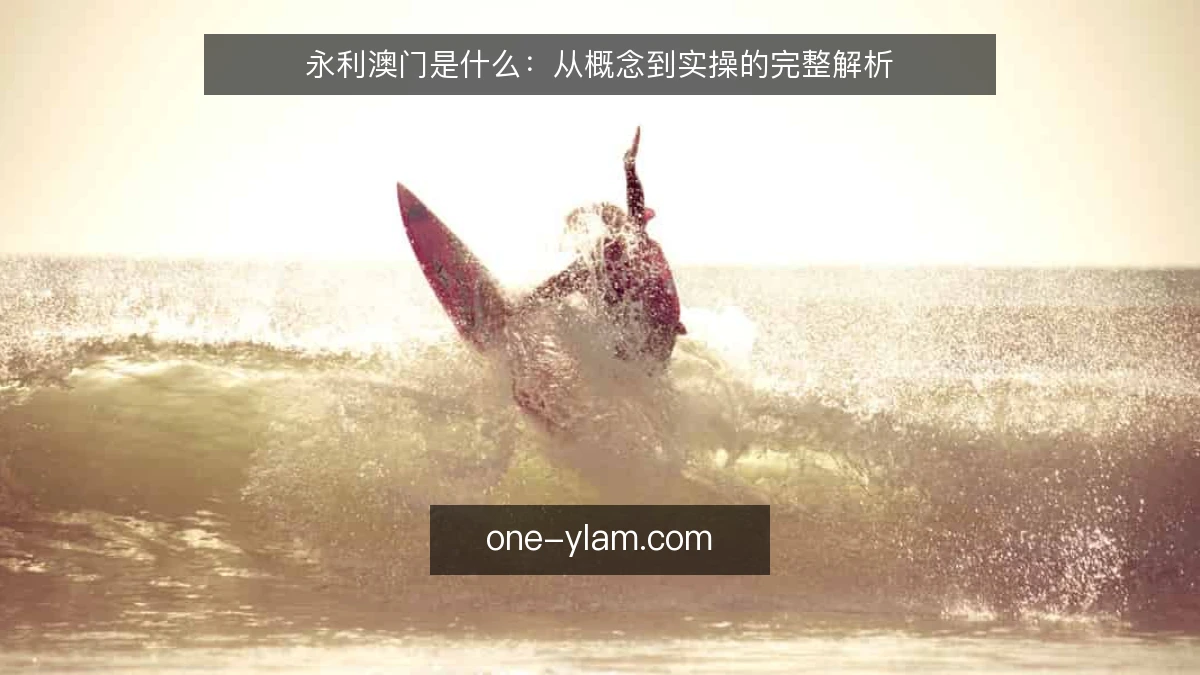 永利澳门是什么：从概念到实操的完整解析