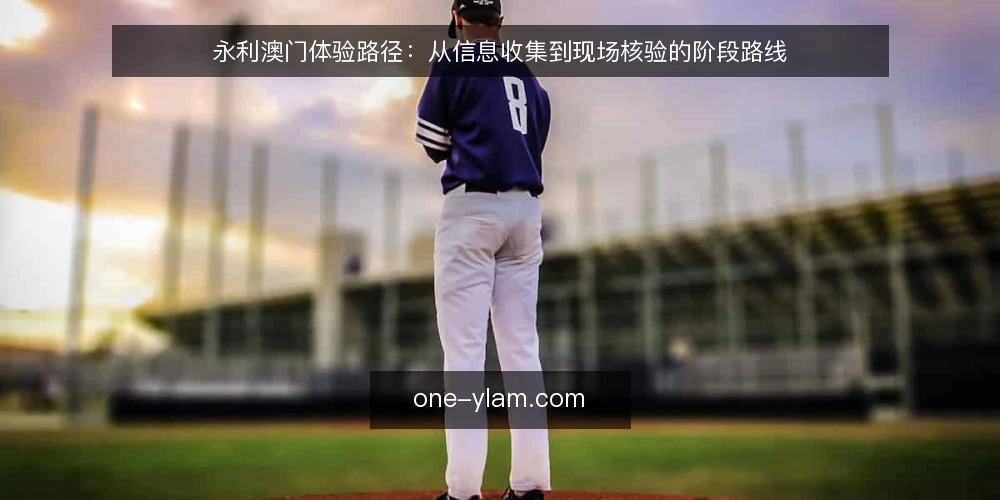 永利澳门体验路径：从信息收集到现场核验的阶段路线 — 阶段一：信息收集与需求界定 配图
