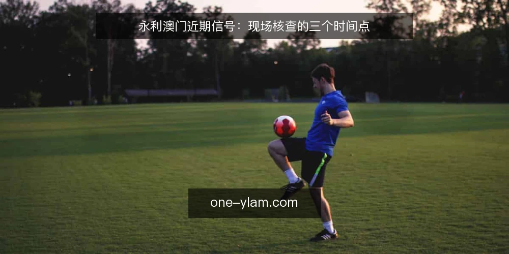 永利澳门近期信号：现场核查的三个时间点 — 近期信号：先看什么 配图