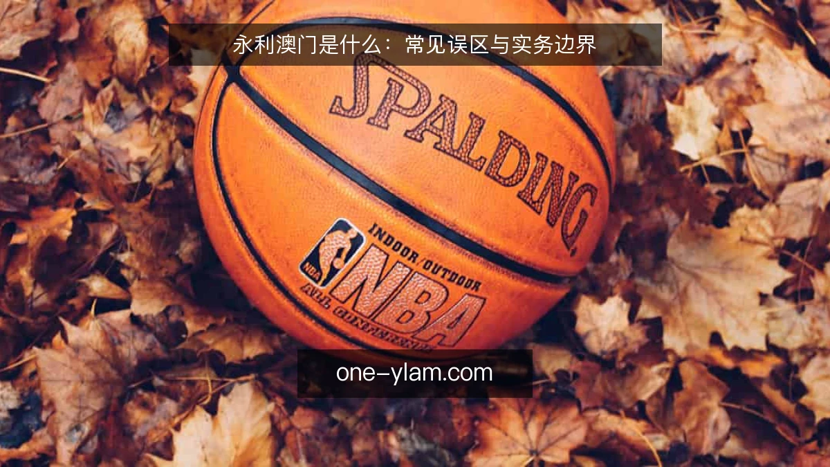 永利澳门是什么：常见误区与实务边界