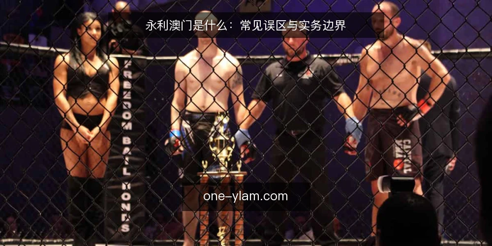 永利澳门是什么：常见误区与实务边界 — 永利澳门是什么：先厘清常见误解 配图