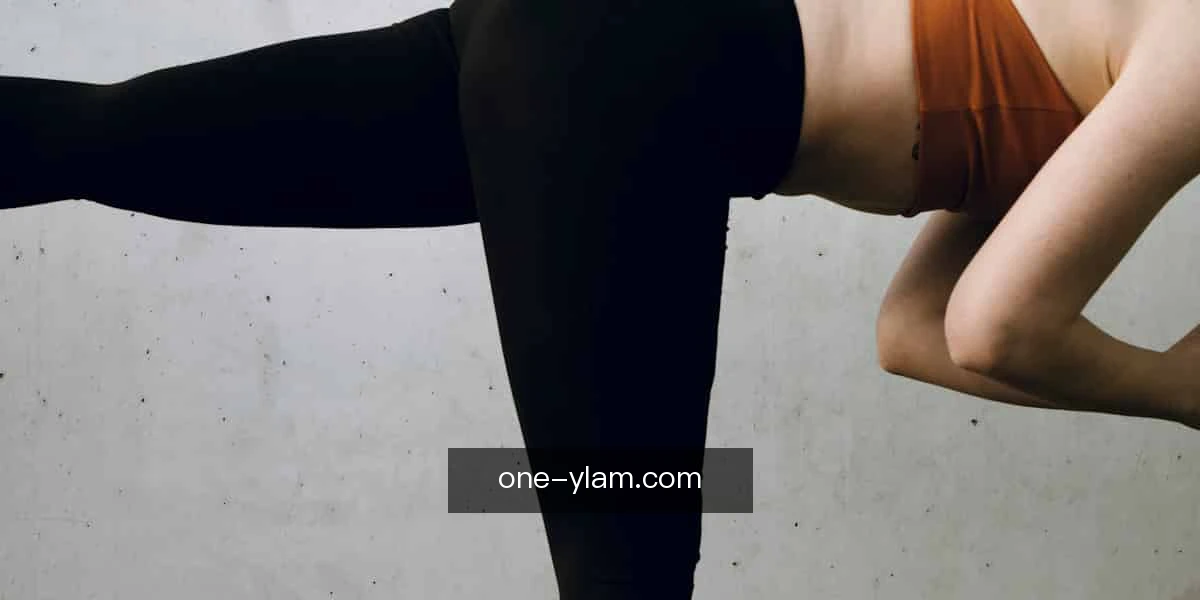 永利澳门解读